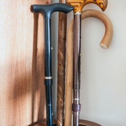 QH carousel image displaying a collection of walking sticks available for use